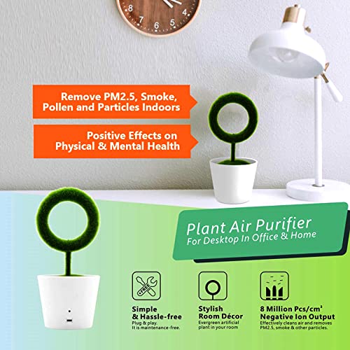Air Purifier; plant air purifier; Purifier; air cleanser