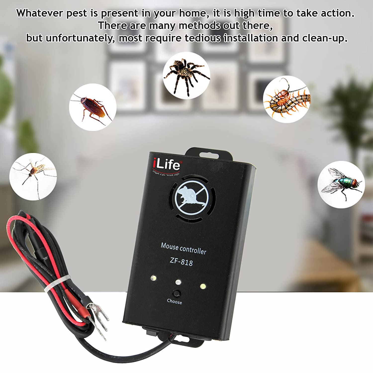 Rat Repellent ; rodent repellent. 