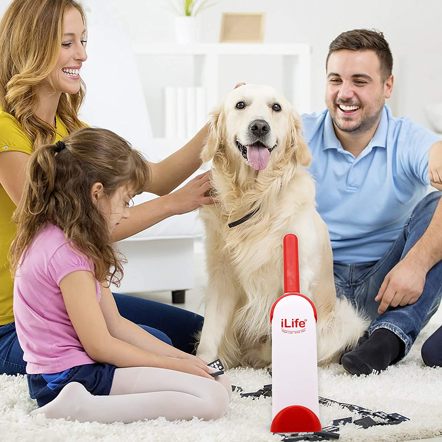 Buy Pet Hair Remover Brush Online