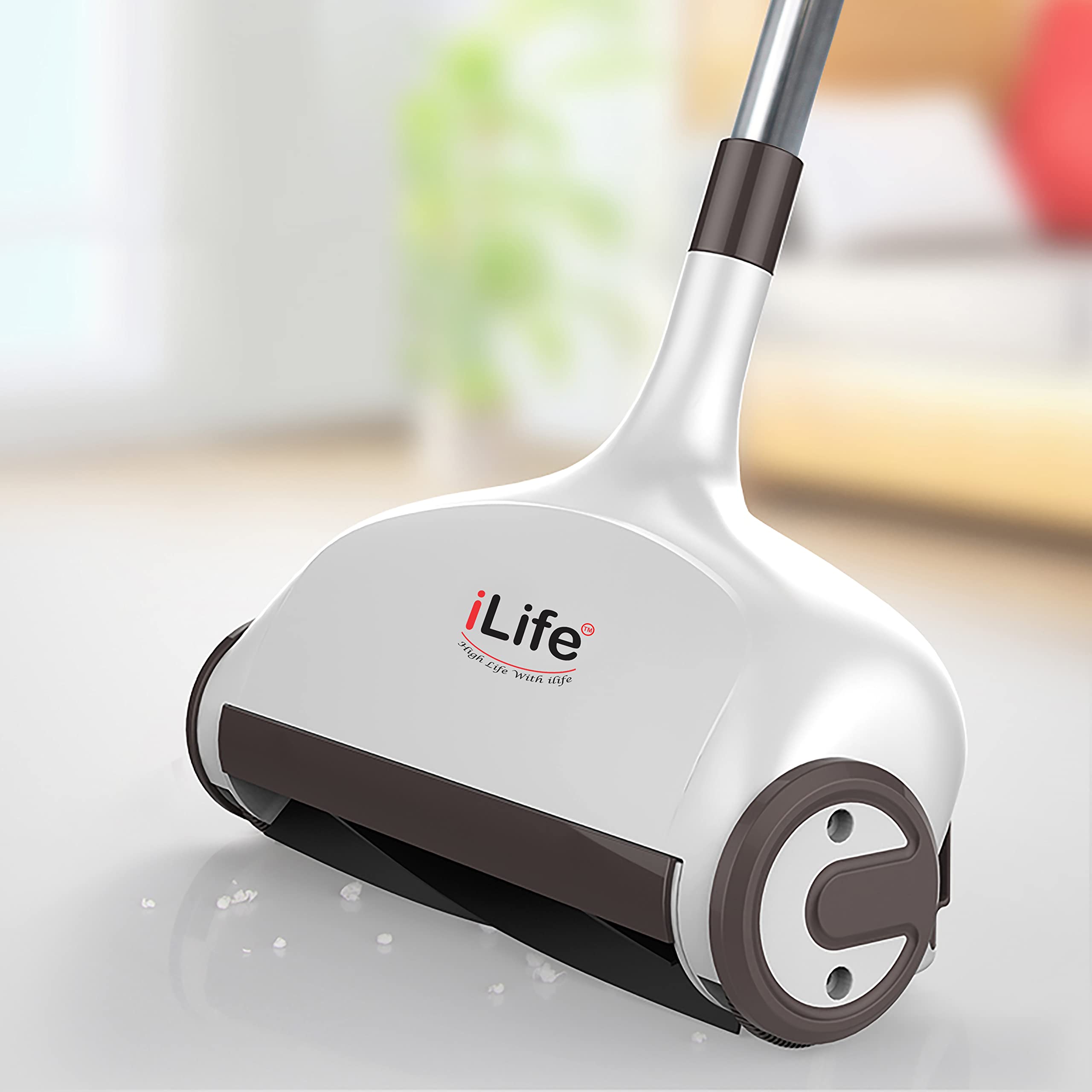 iLife Natural Sweep Carpet 