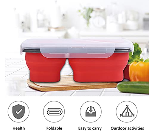 Expandable Lunch Box, Print